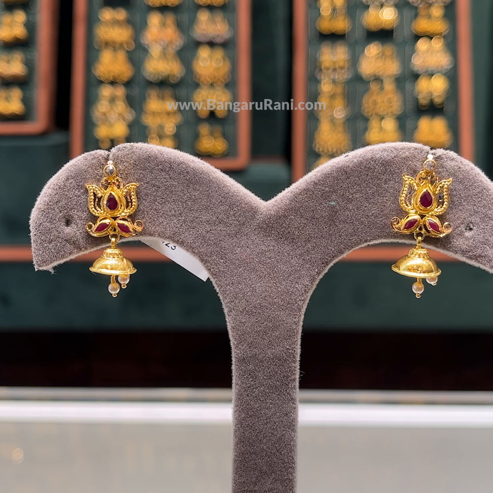 Real 2025 puligoru cost